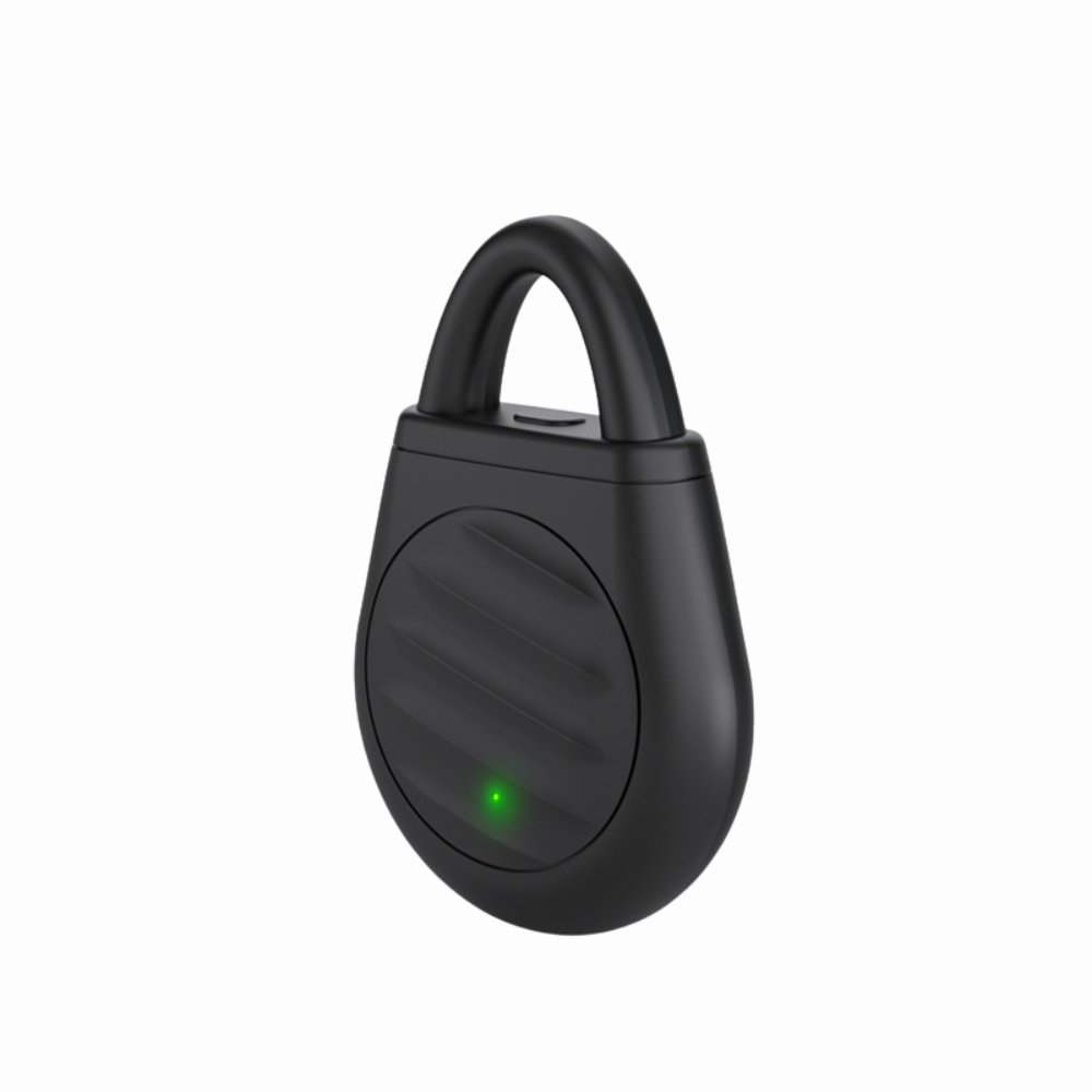 Portable Ultrasonic Bird Repellent Keychain