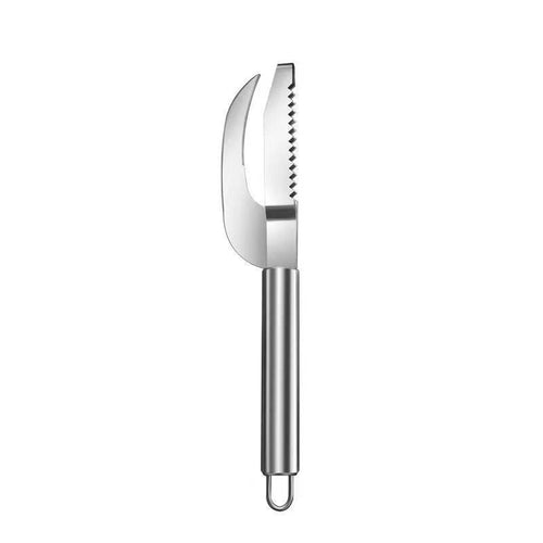 Fauppt Fish Scales Scraping Tool