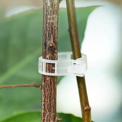 Reusable Plant Support Clips (100 CLIPS)