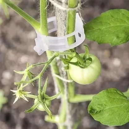 Reusable Plant Support Clips (100 CLIPS)