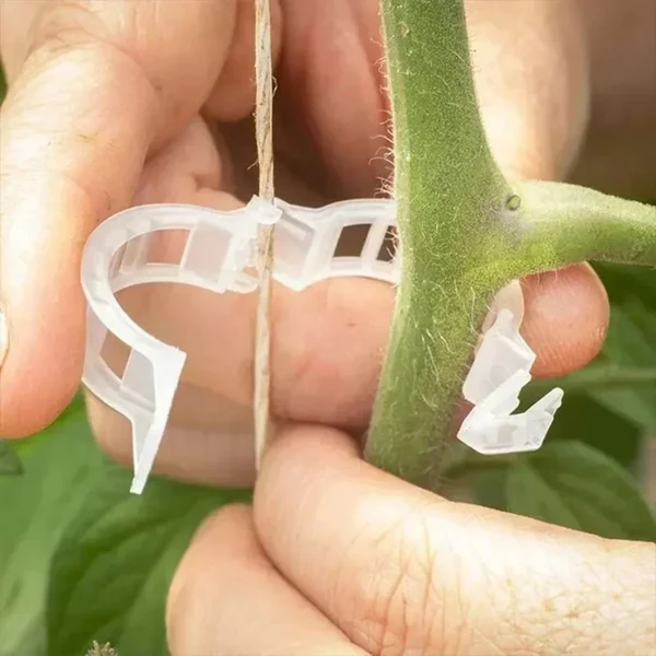 Reusable Plant Support Clips (100 CLIPS)