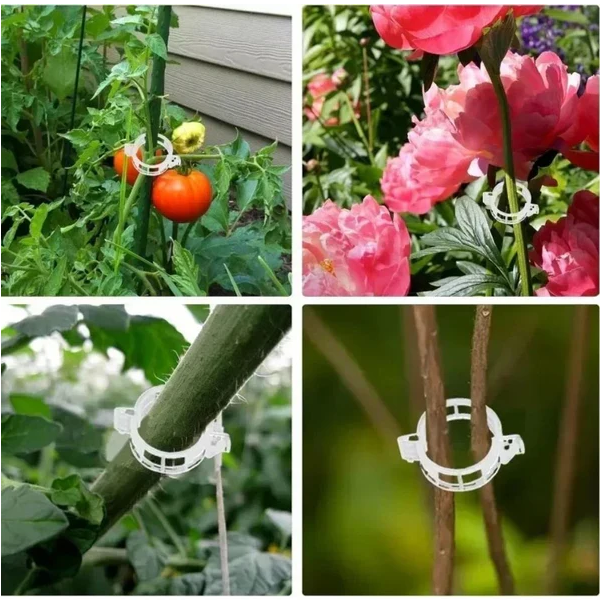 Reusable Plant Support Clips (100 CLIPS)