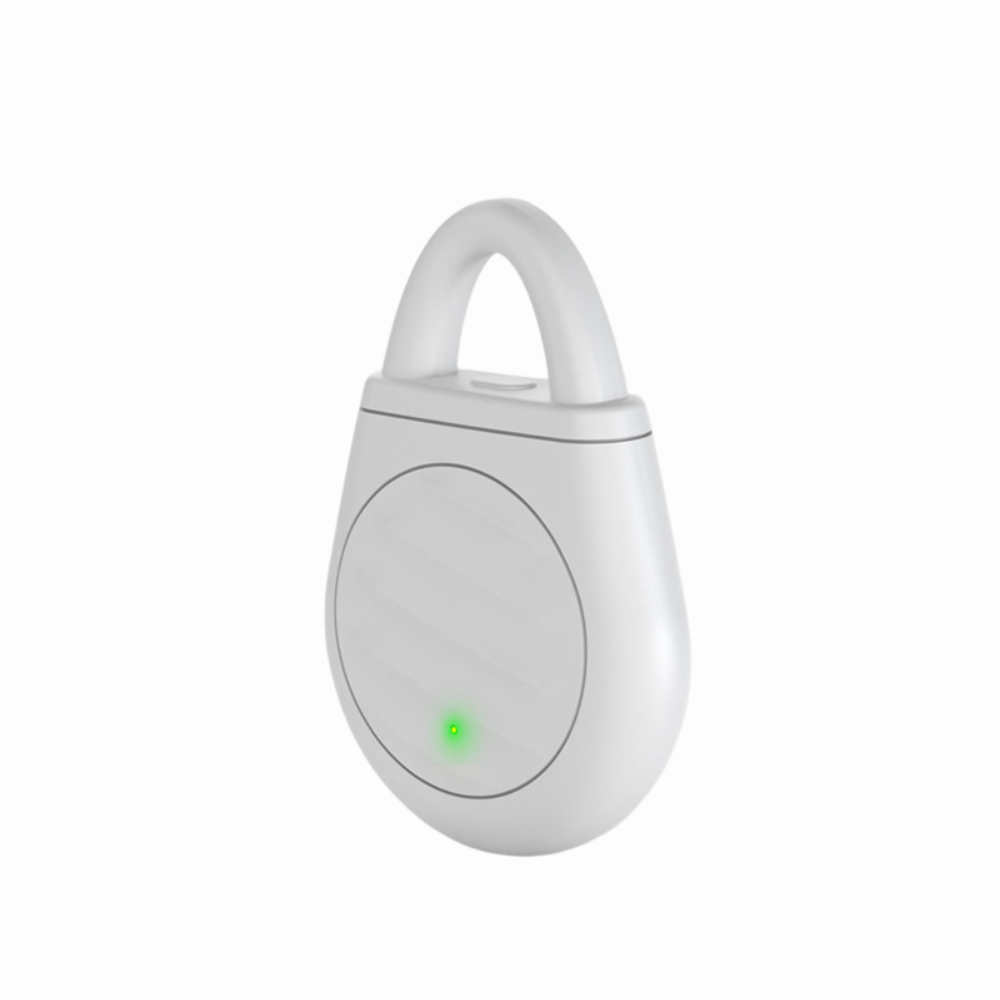 Portable Ultrasonic Bird Repellent Keychain